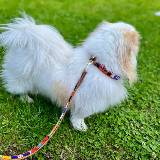 Håndlavet hundesnor i læder med perler - Lego