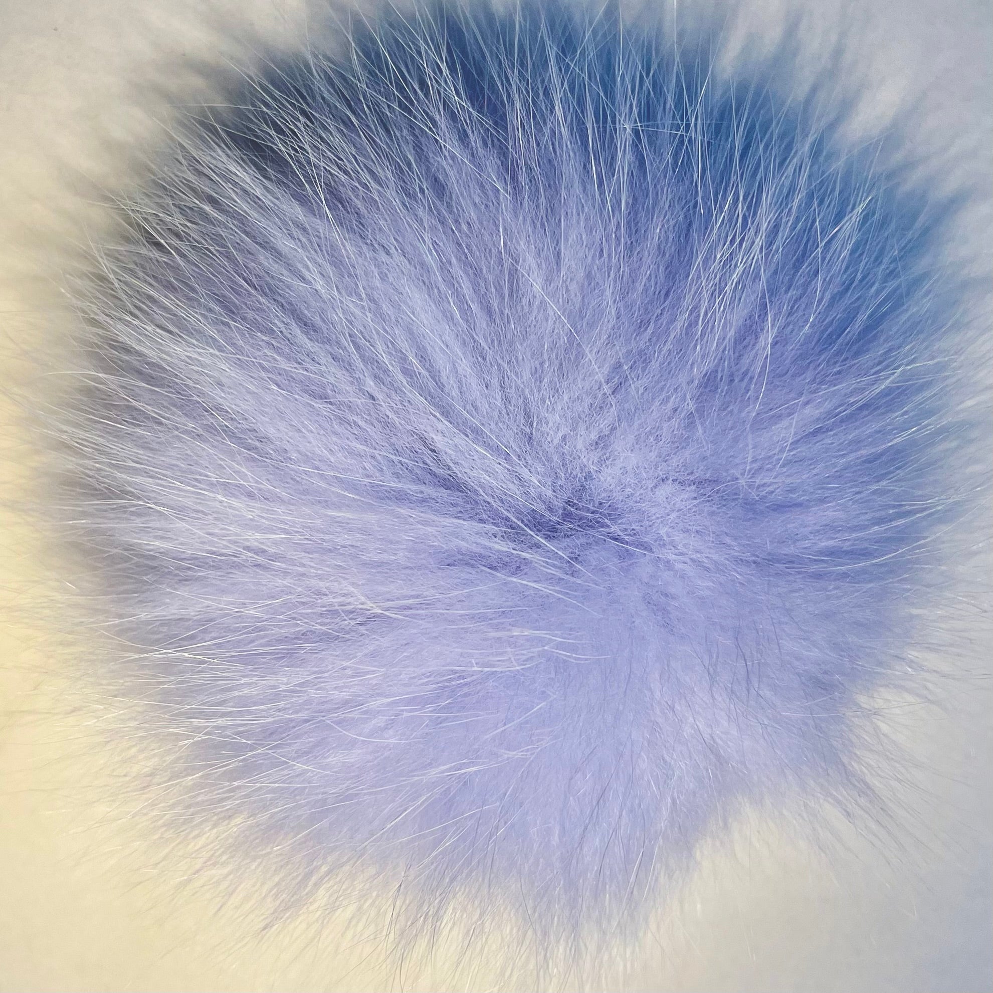 Pompon