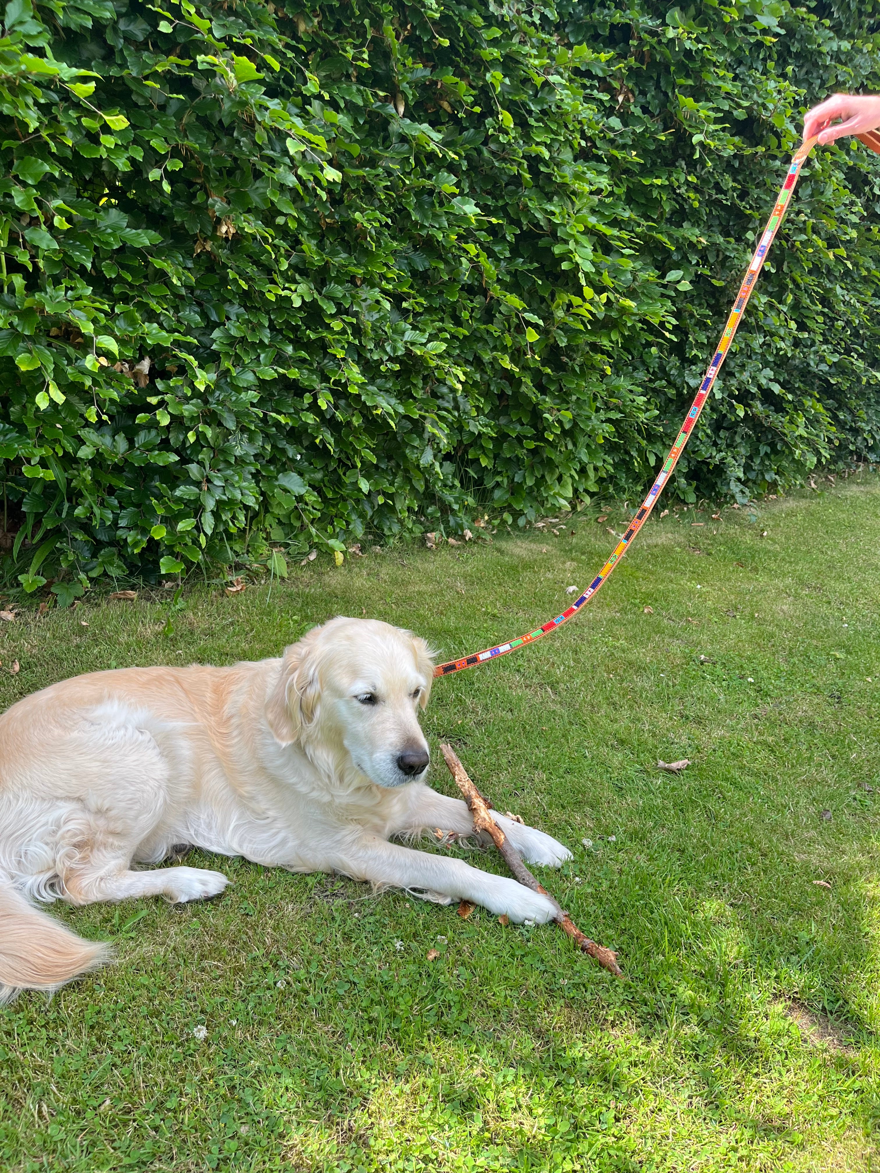 Håndlavet hundesnor i læder med perler - Lego