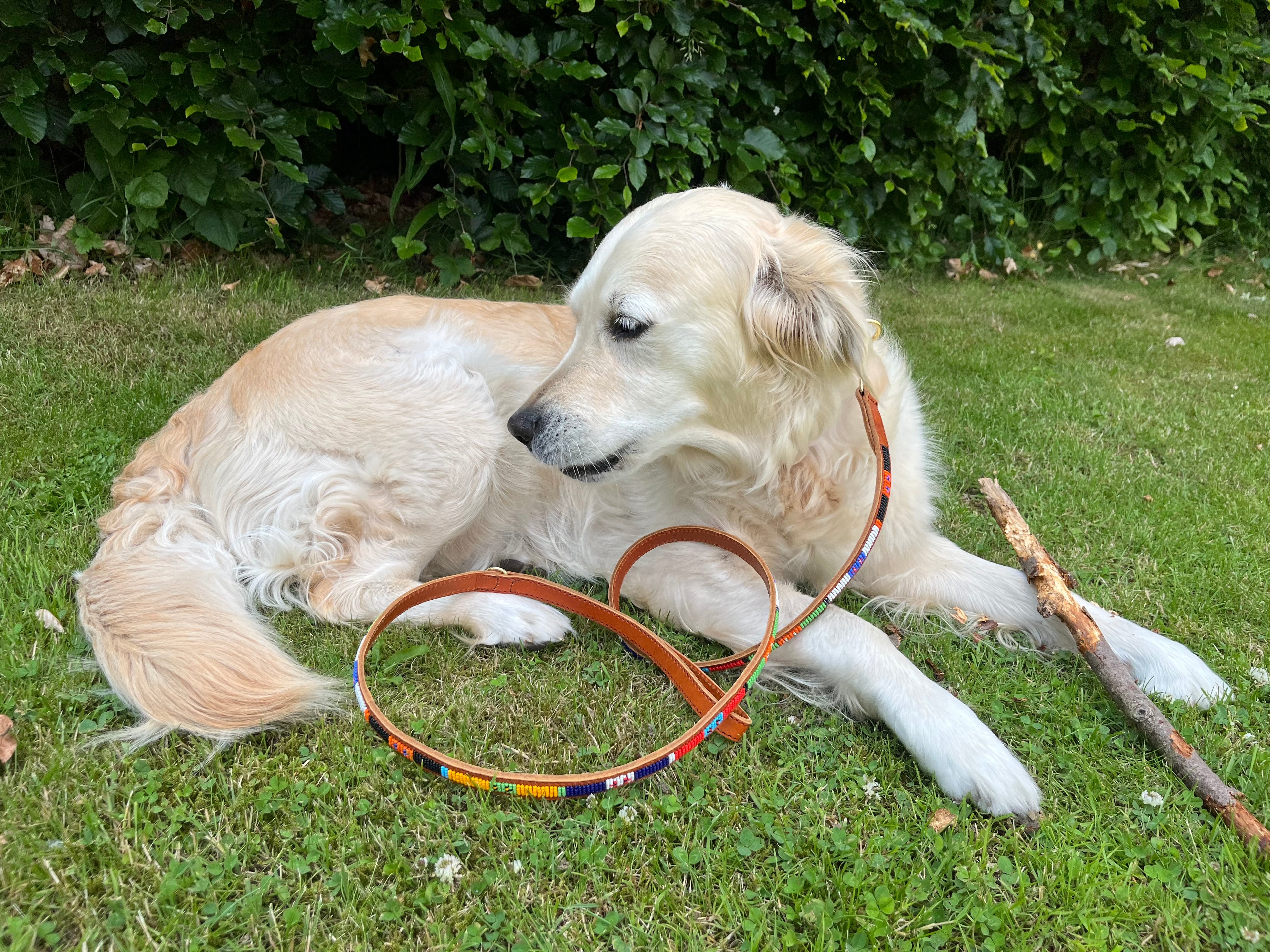 Håndlavet hundesnor i læder med perler - Lego
