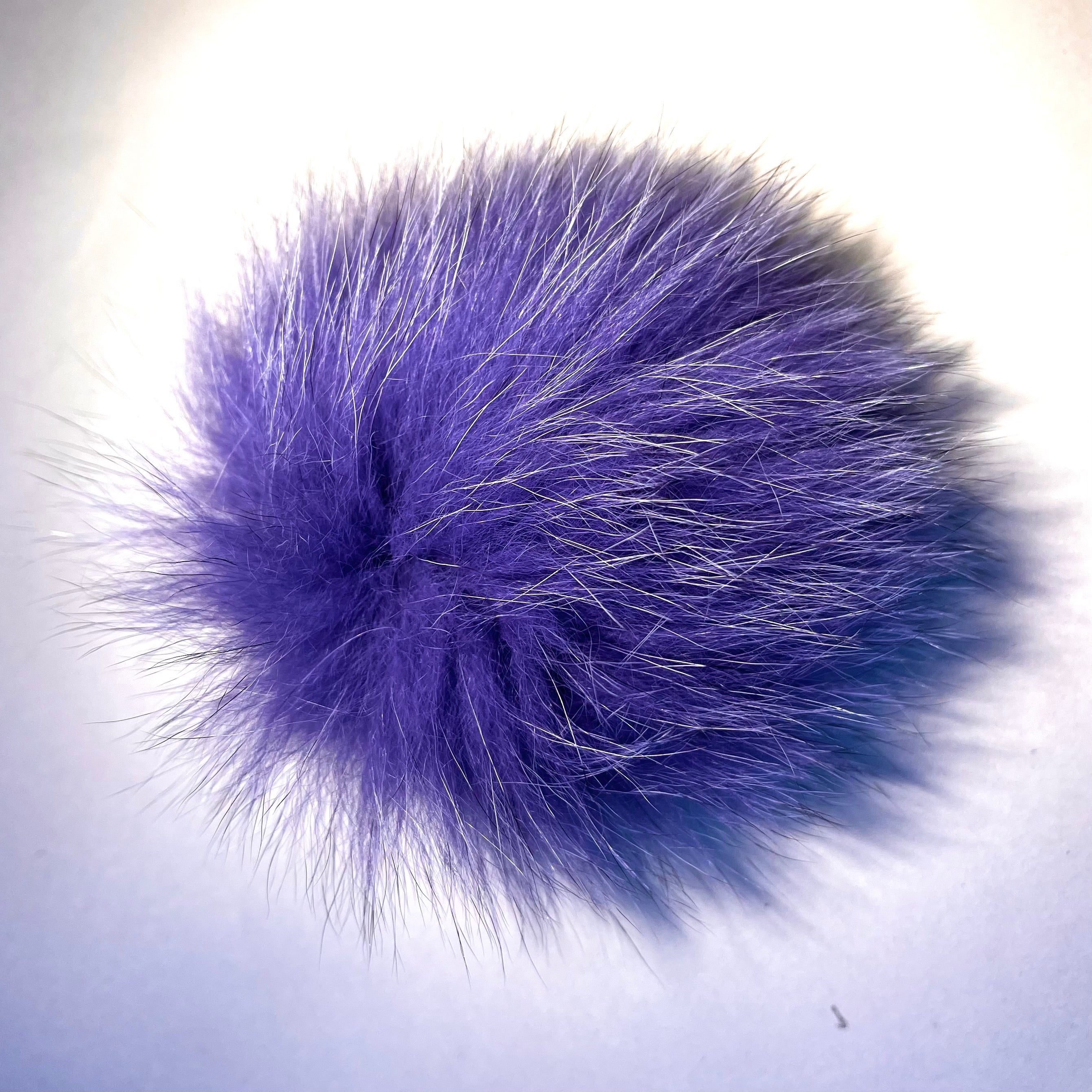 Pompon