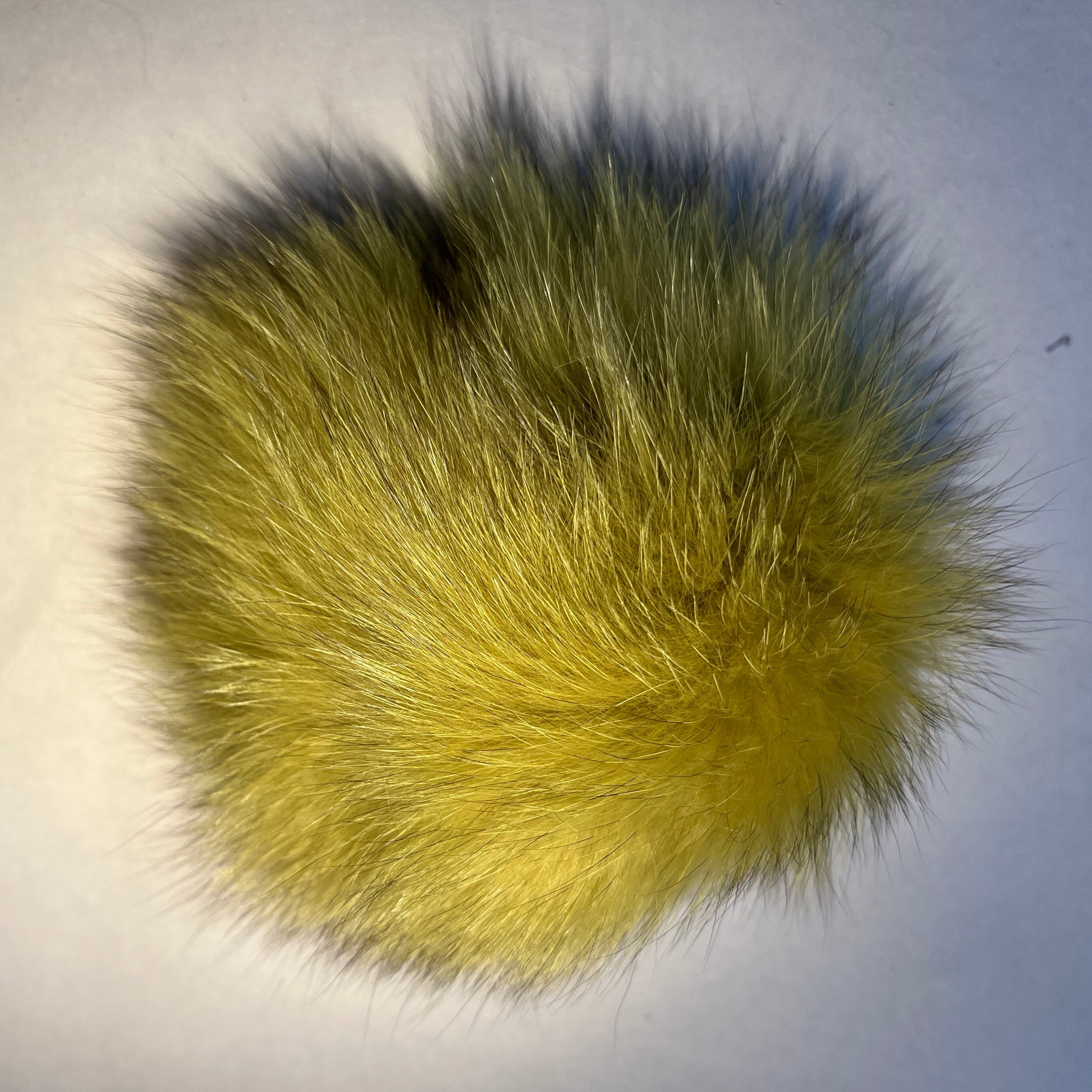Pompon