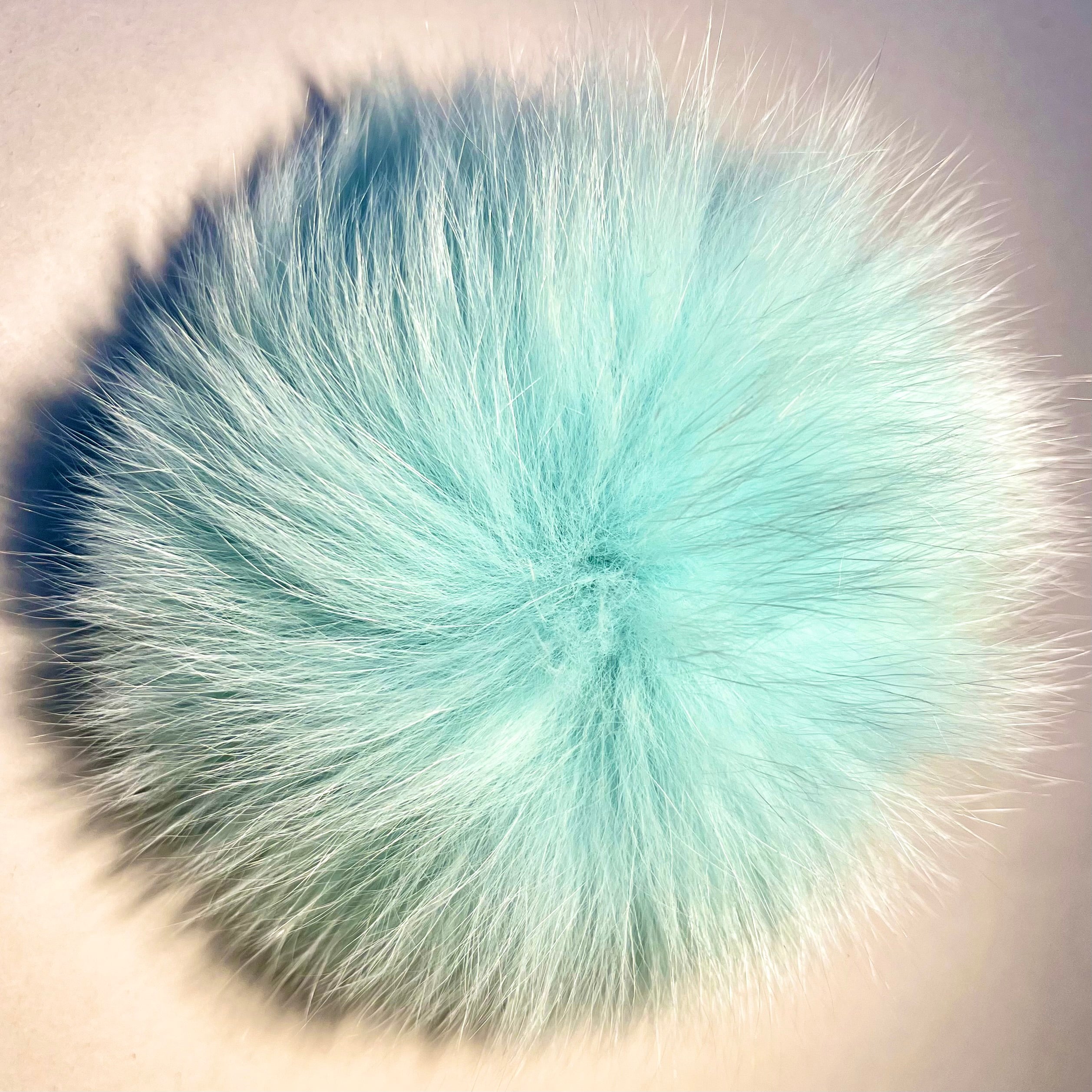 Pompon