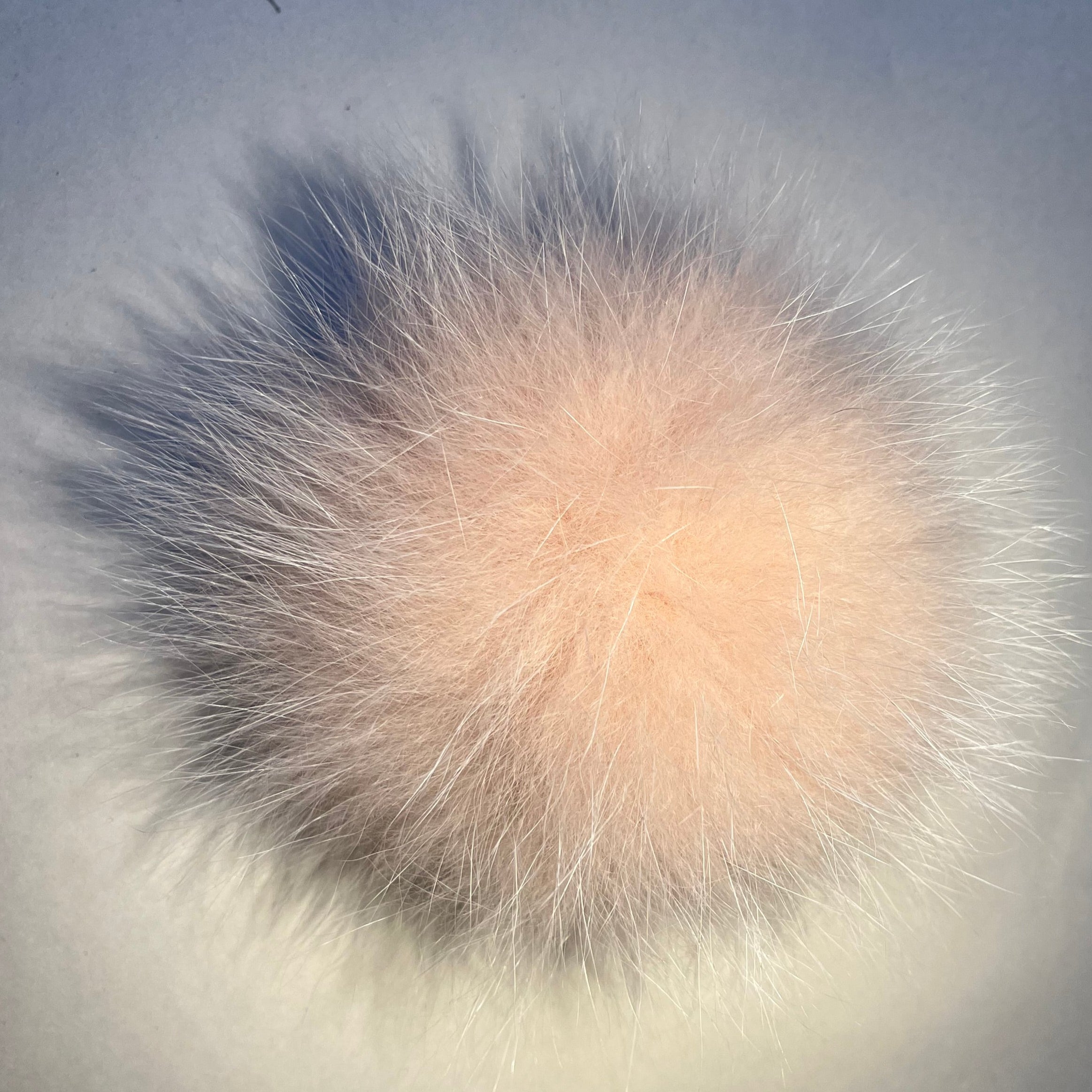 Pompon