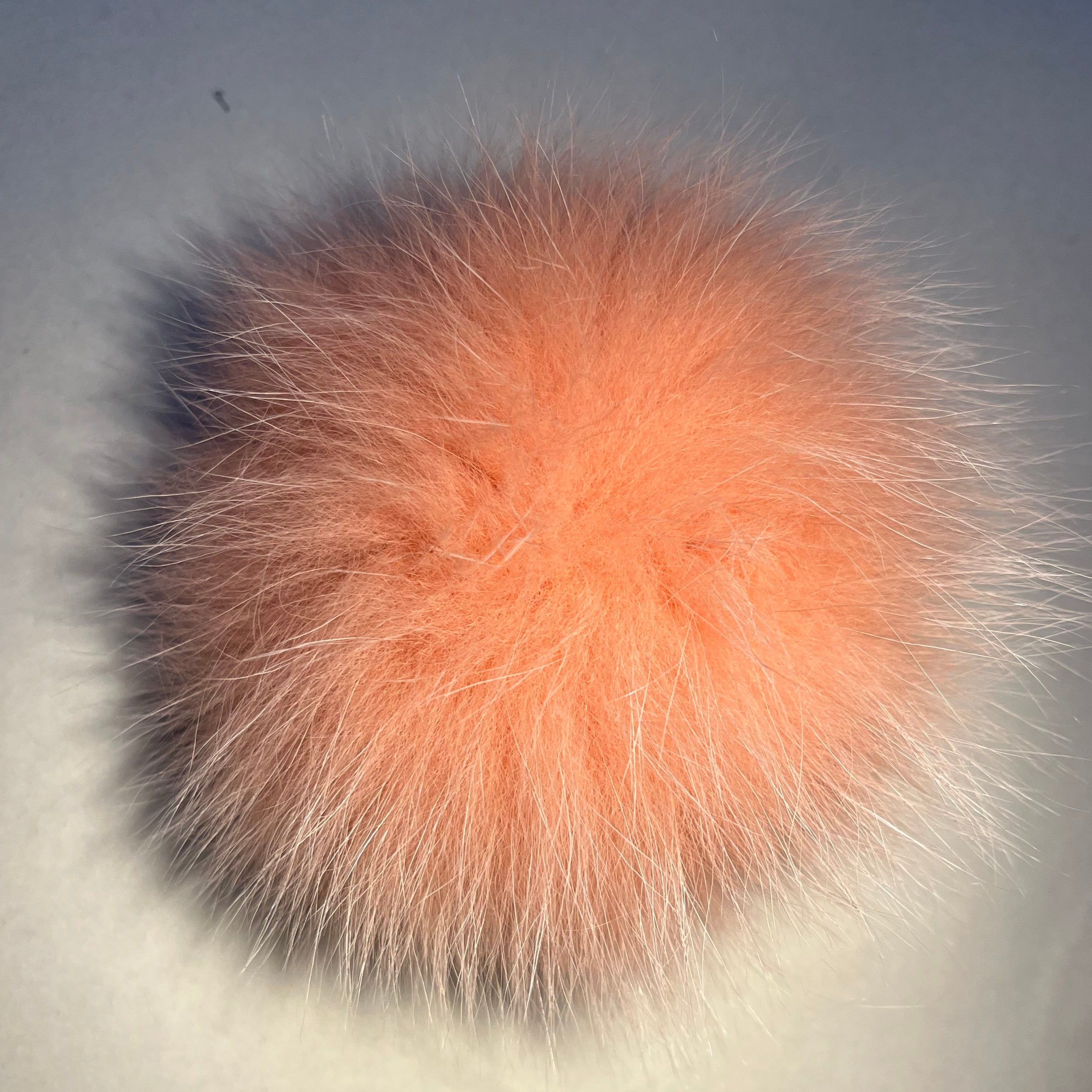 Pompon